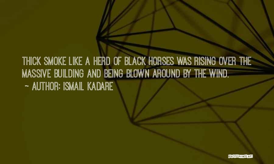 Black Horses Quotes By Ismail Kadare
