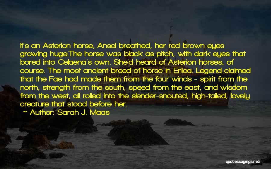Black Horses Quotes By Sarah J. Maas