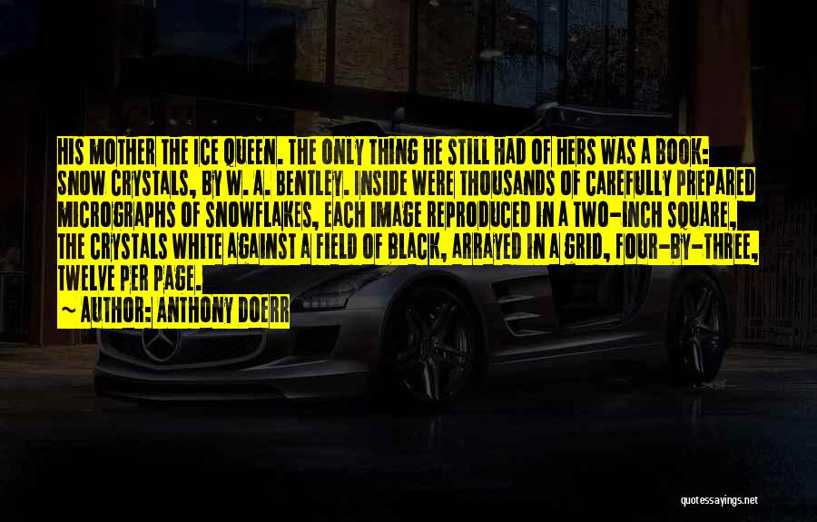 Black Ice Book Quotes By Anthony Doerr