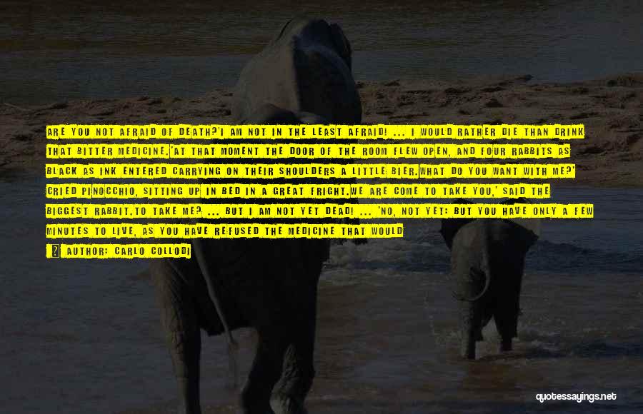 Black Ink Quotes By Carlo Collodi Black Ink Quotes By Carlo Collodi