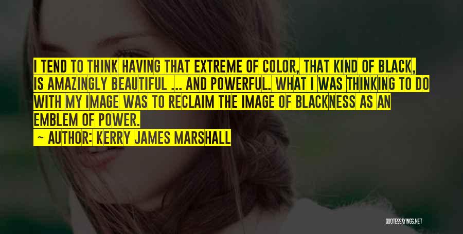 Black Is My Color Quotes By Kerry James Marshall