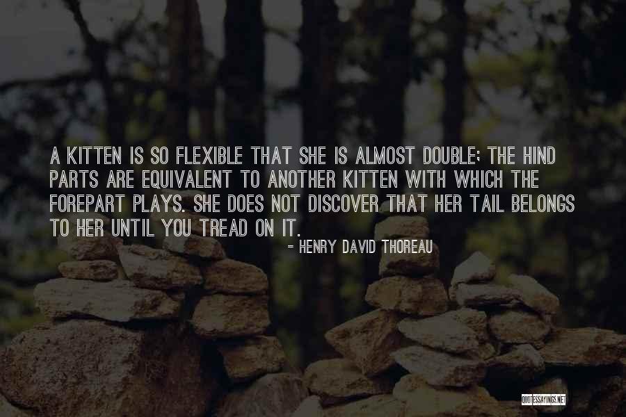Black Ish Tv Show Quotes By Henry David Thoreau Black Ish Tv Show Quotes By Henry David Thoreau