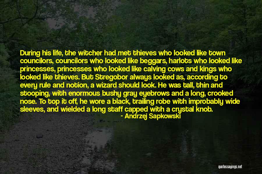 Black Kings Quotes By Andrzej Sapkowski Black Kings Quotes By Andrzej Sapkowski