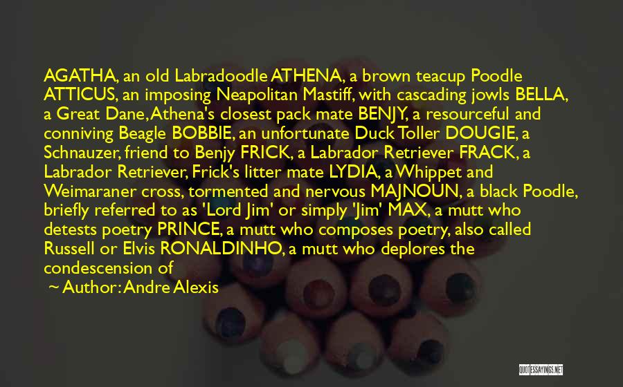 Black Labrador Quotes By Andre Alexis