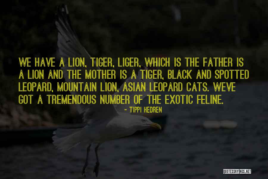 Black Leopard Quotes By Tippi Hedren Black Leopard Quotes By Tippi Hedren