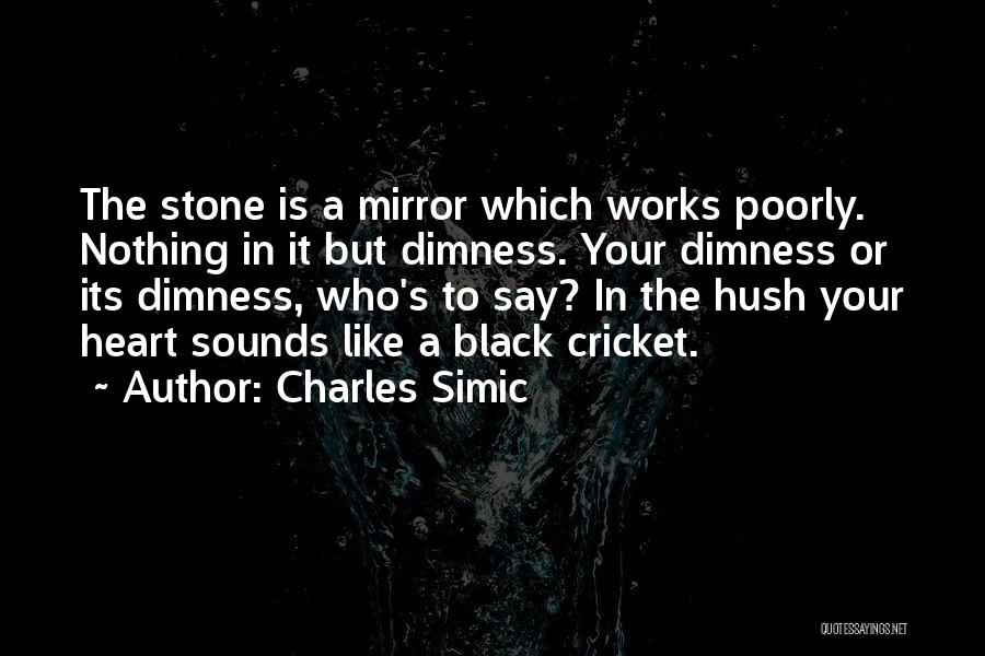 Black Like Me Mirror Quotes By Charles Simic