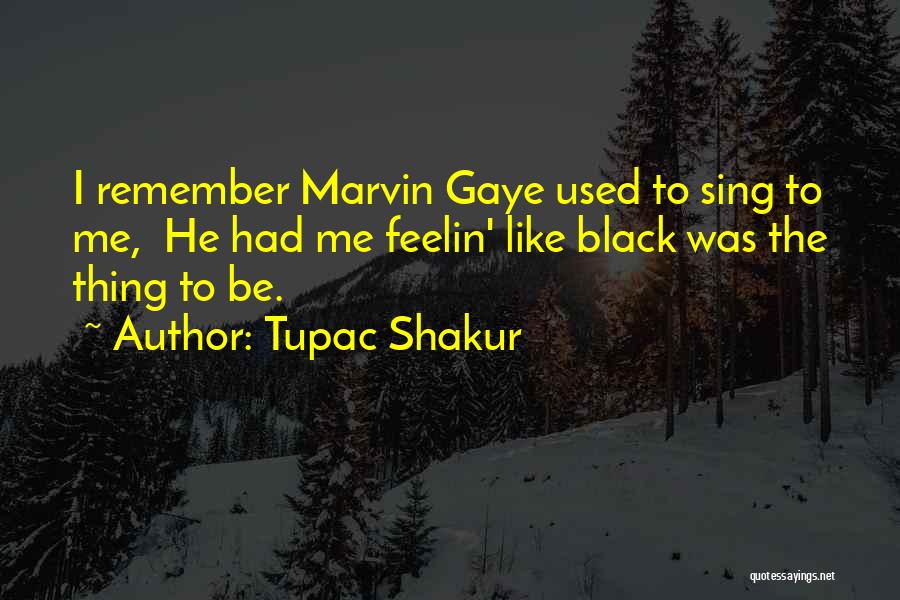 Black Like Me Quotes By Tupac Shakur