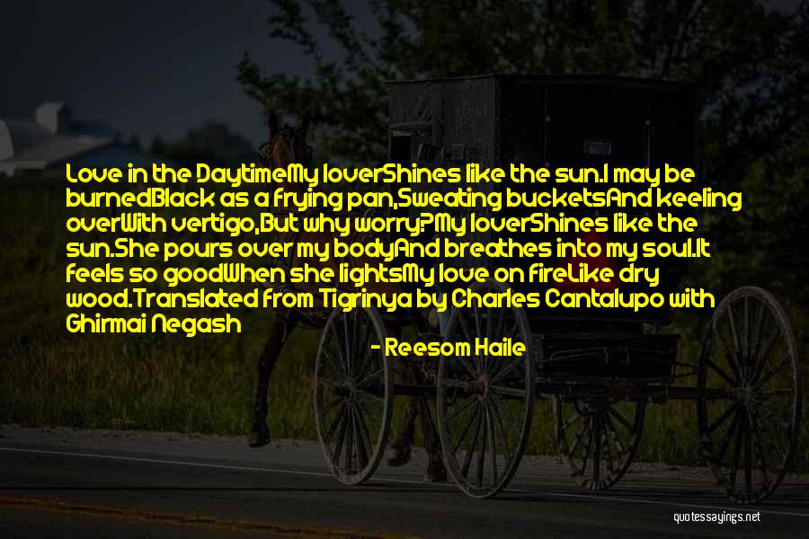 Black Like My Soul Quotes By Reesom Haile Black Like My Soul Quotes By Reesom Haile