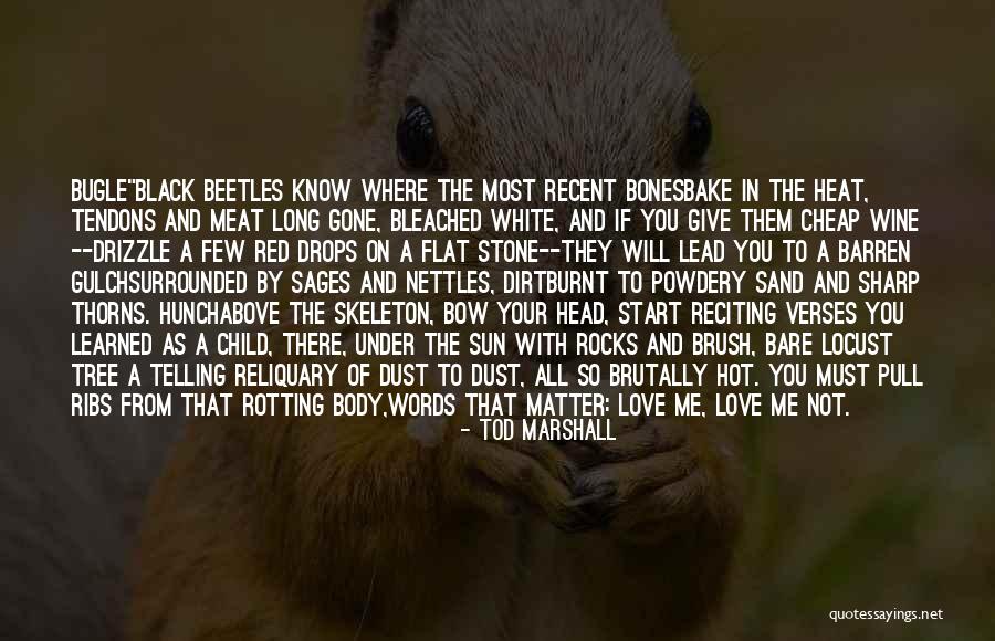 Black Love Poetry Quotes By Tod Marshall Black Love Poetry Quotes By Tod Marshall