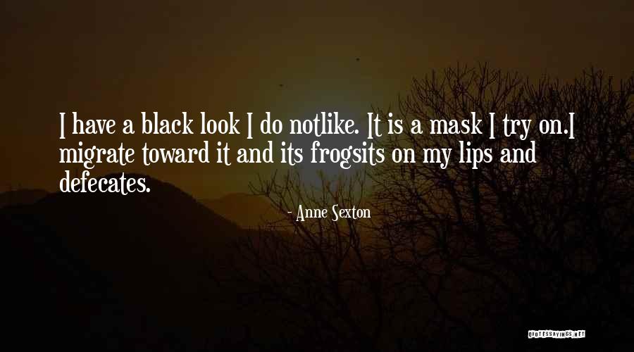 Black Mask Quotes By Anne Sexton Black Mask Quotes By Anne Sexton