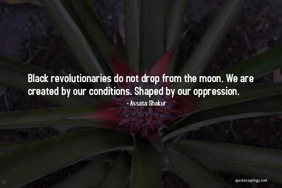 Black Oppression Quotes By Assata Shakur Black Oppression Quotes By Assata Shakur