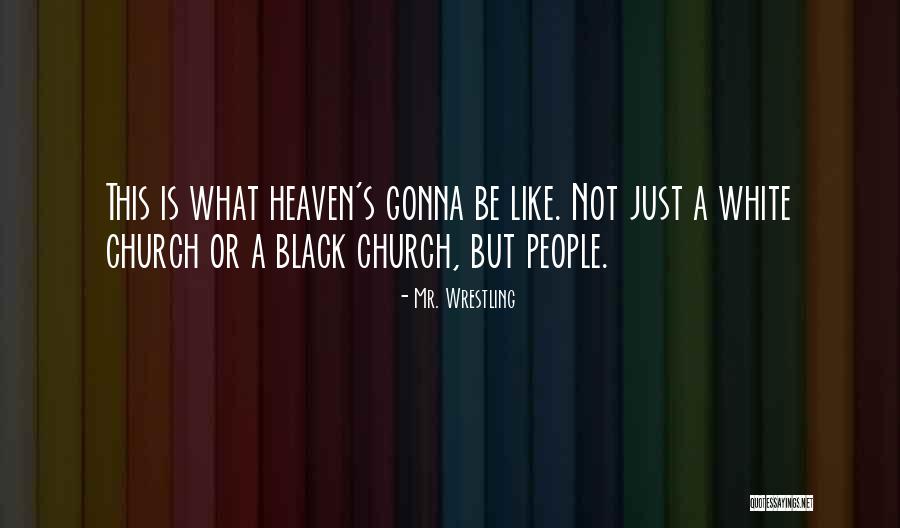 Black Or White Quotes By Mr. Wrestling Black Or White Quotes By Mr. Wrestling