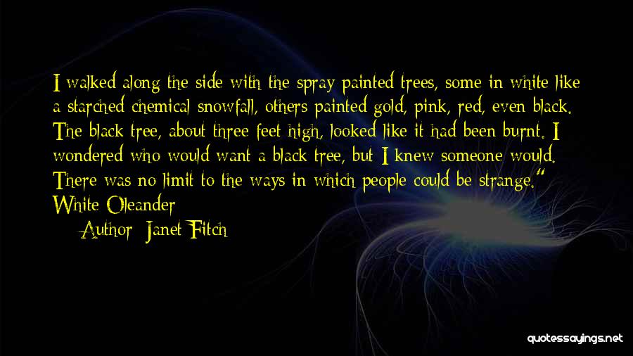 Black Pink Quotes By Janet Fitch