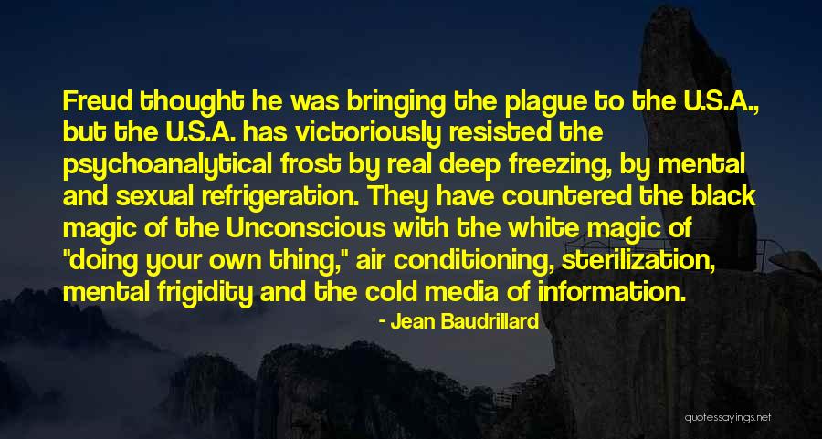 Black Plague Quotes By Jean Baudrillard Black Plague Quotes By Jean Baudrillard