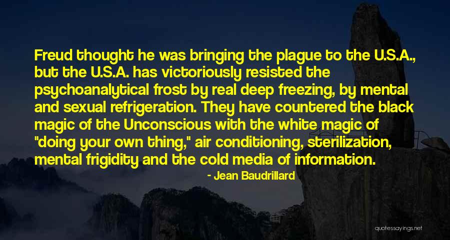 Black Plague Quotes By Jean Baudrillard