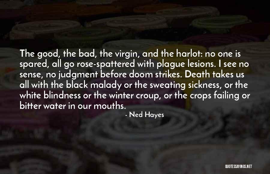 Black Plague Quotes By Ned Hayes