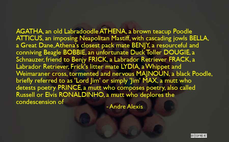 Black Poetry Quotes By Andre Alexis Black Poetry Quotes By Andre Alexis