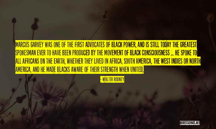 Black Power Movement Quotes By Walter Rodney