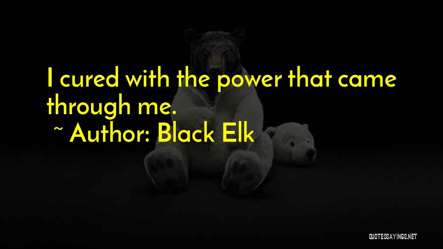 Black Power Quotes By Black Elk