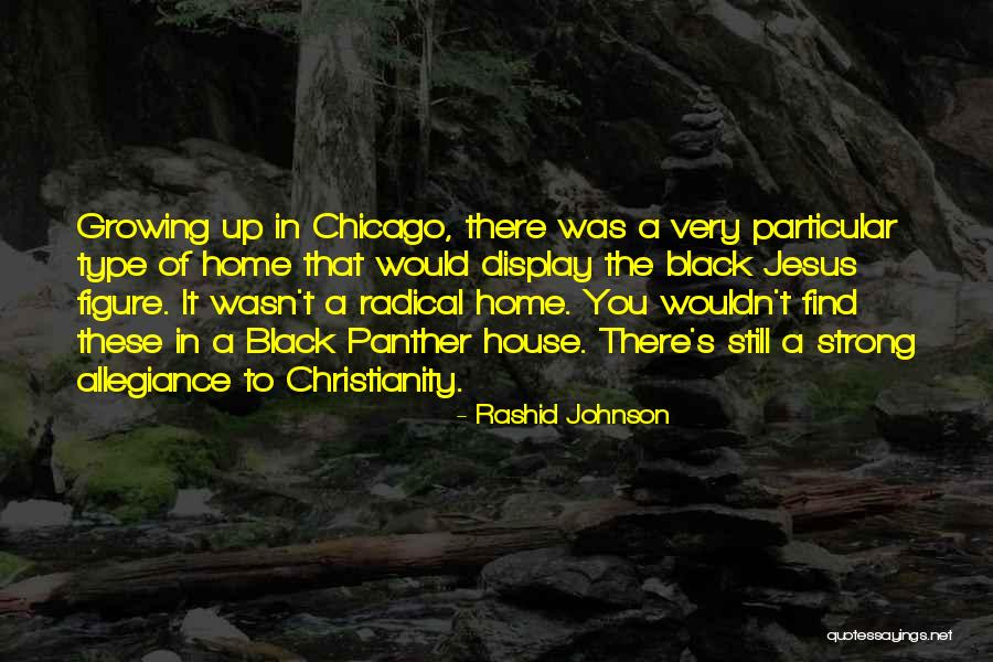 Black Radical Quotes By Rashid Johnson