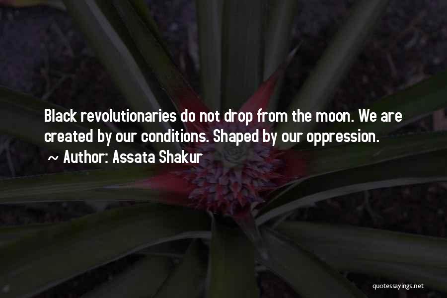 Black Revolutionaries Quotes By Assata Shakur