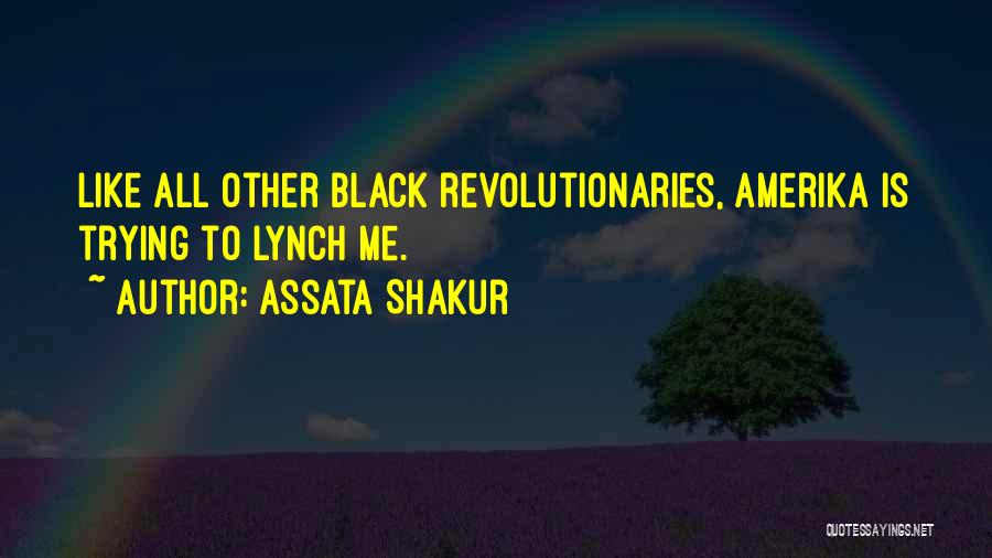 Black Revolutionaries Quotes By Assata Shakur