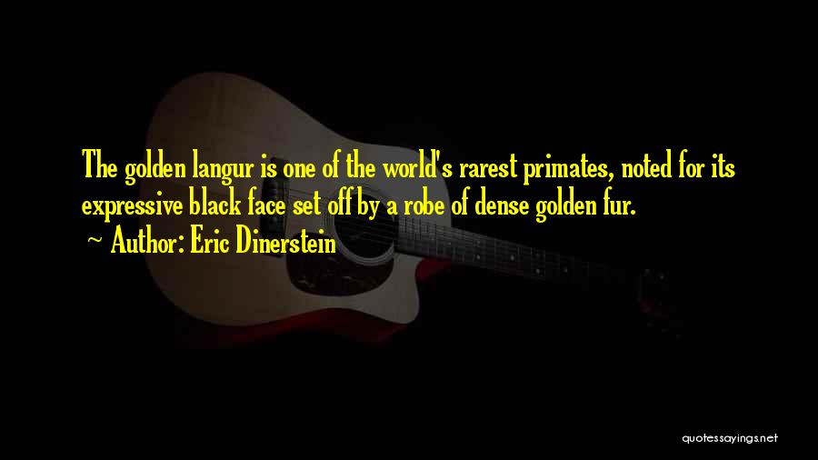 Black Robe Quotes By Eric Dinerstein