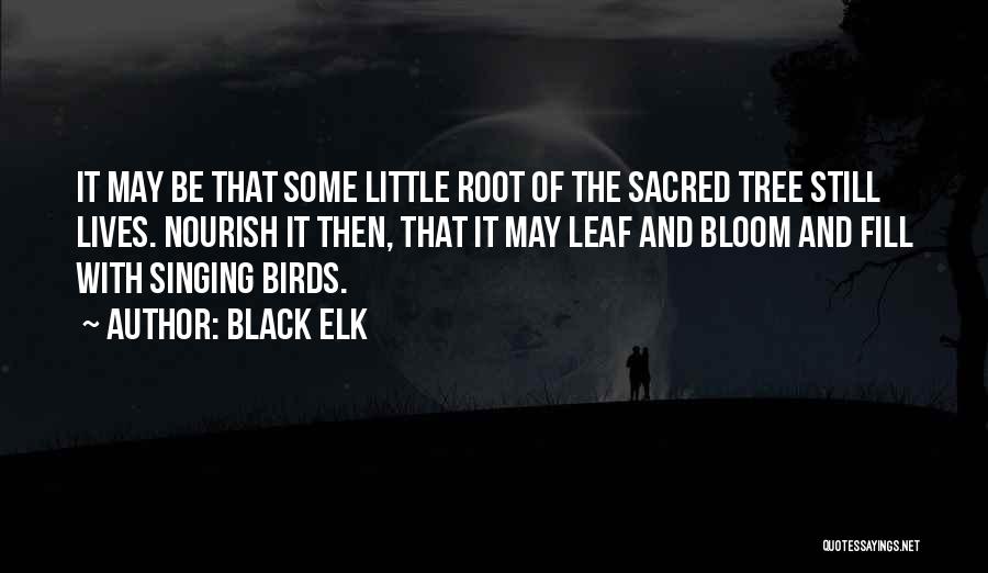 Black Root Quotes By Black Elk