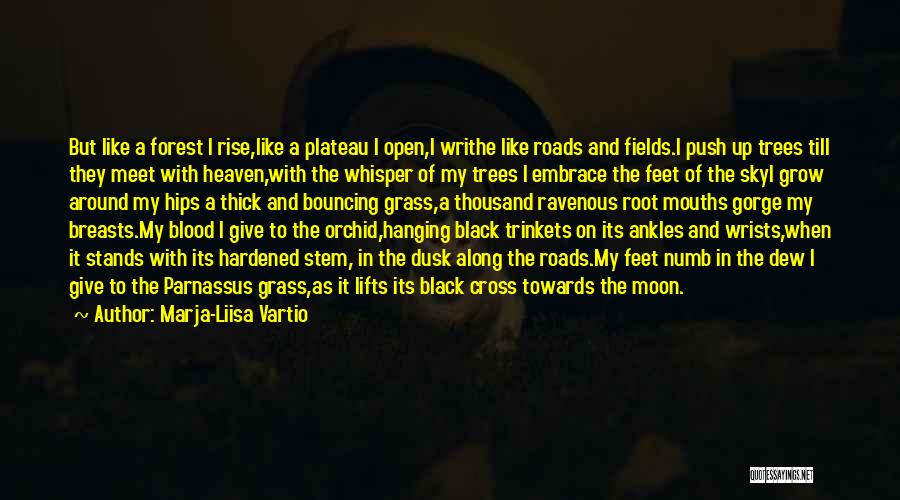 Black Root Quotes By Marja-Liisa Vartio