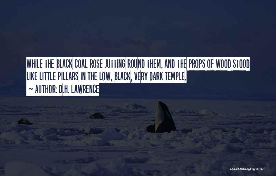 Black Rose Quotes By D.H. Lawrence