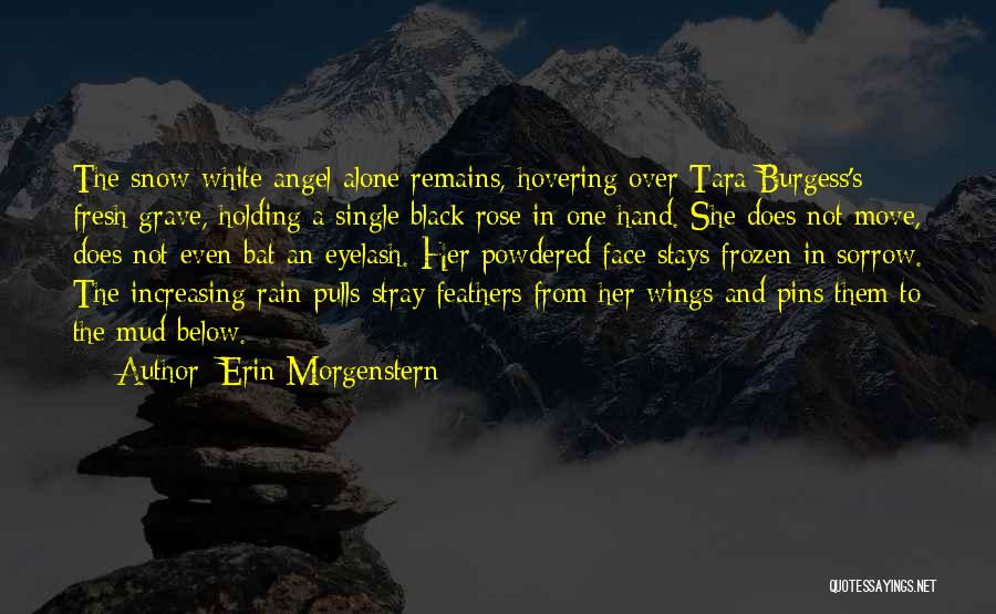 Black Rose Quotes By Erin Morgenstern