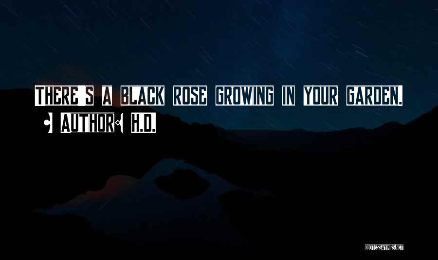 Black Rose Quotes By H.D.