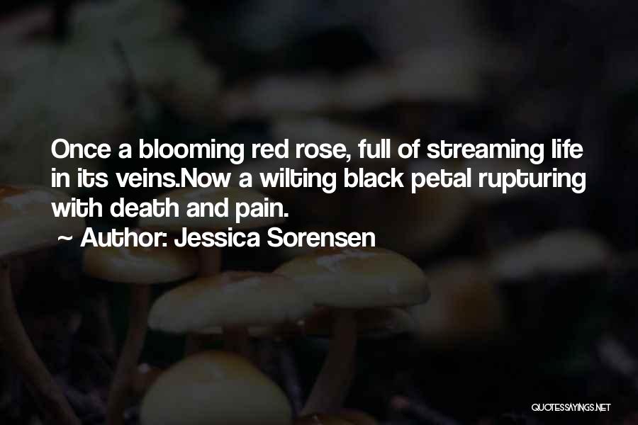 Black Rose Quotes By Jessica Sorensen