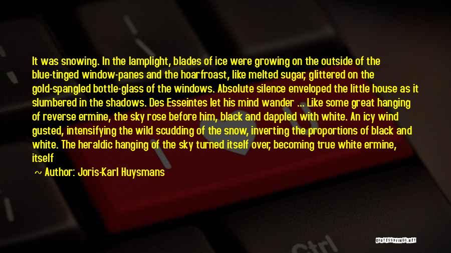 Black Rose Quotes By Joris-Karl Huysmans