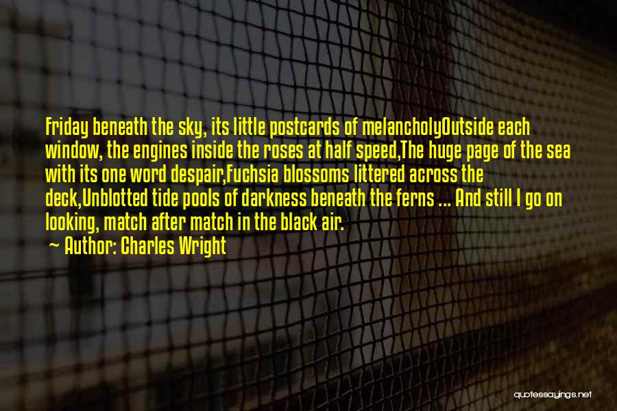 Black Roses Quotes By Charles Wright