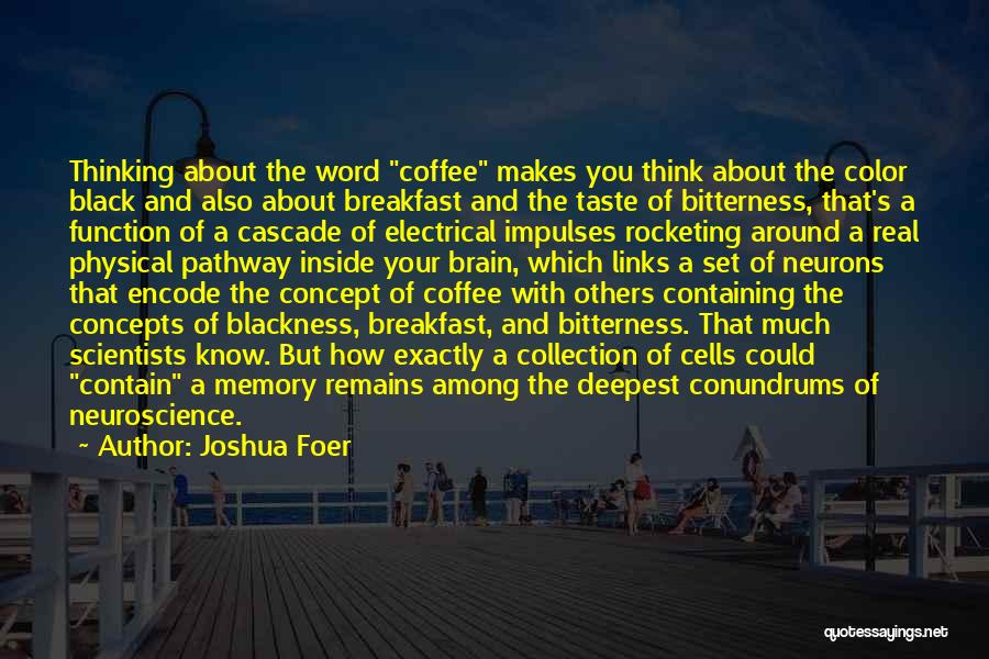 Black Scientists Quotes By Joshua Foer