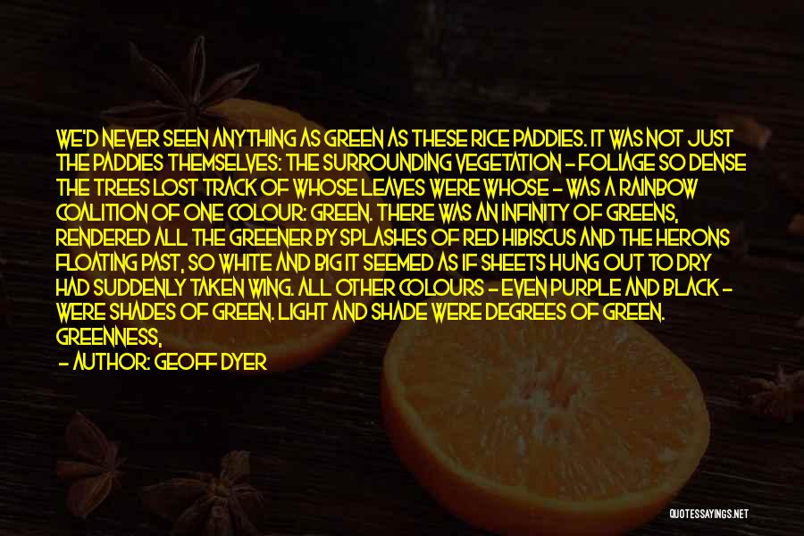 Black Shades Quotes By Geoff Dyer