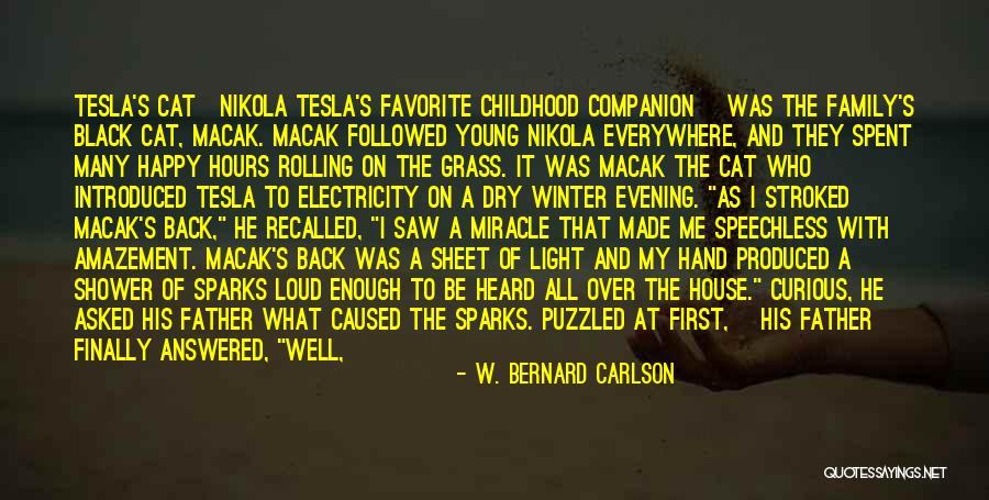Black Shower Quotes By W. Bernard Carlson Black Shower Quotes By W. Bernard Carlson