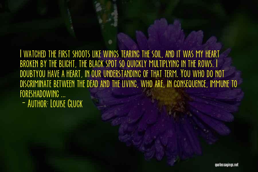 Black Spot Quotes By Louise Gluck