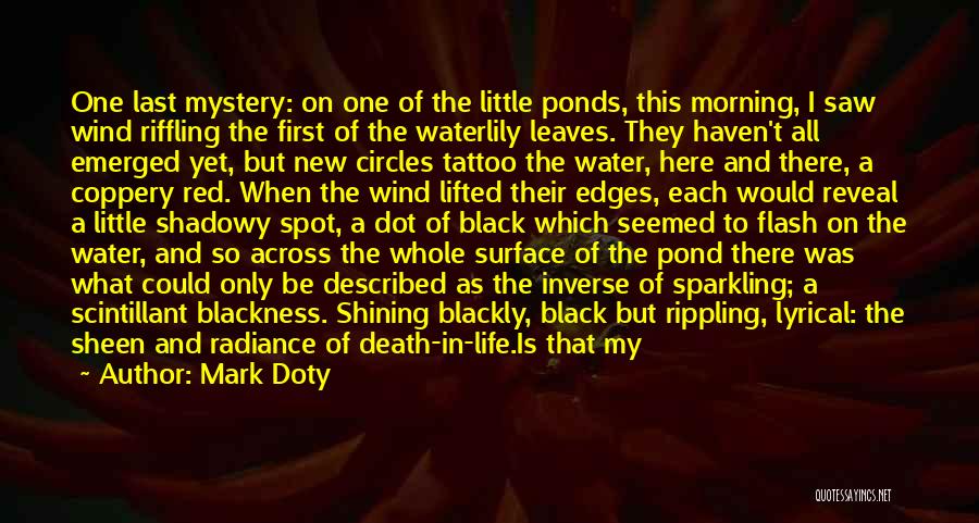 Black Spot Quotes By Mark Doty