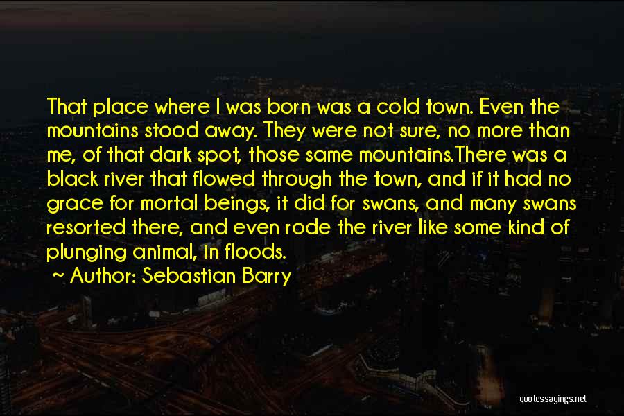 Black Spot Quotes By Sebastian Barry