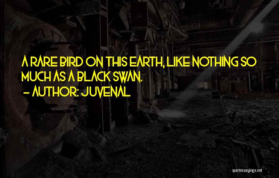 Black Swan Quotes By Juvenal