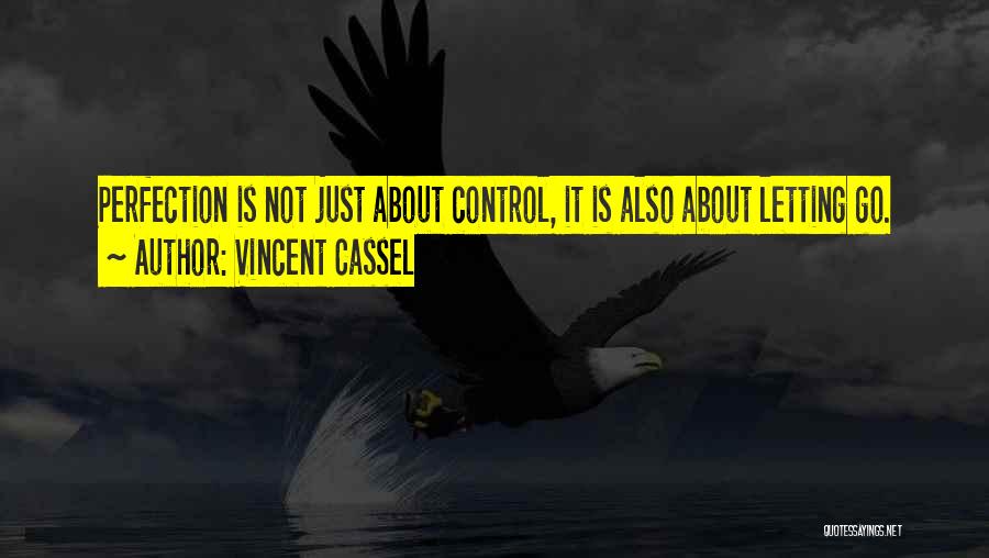 Black Swan Quotes By Vincent Cassel