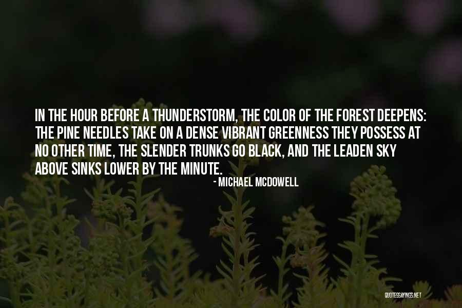 Black Vibrant Quotes By Michael McDowell Black Vibrant Quotes By Michael McDowell
