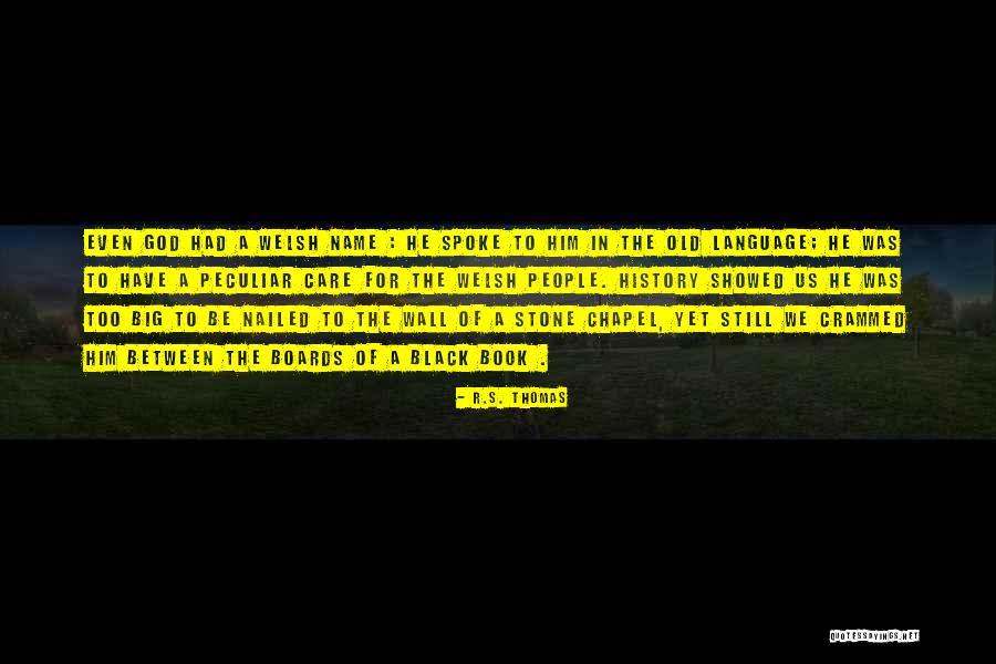 Black Wall Quotes By R.S. Thomas Black Wall Quotes By R.S. Thomas