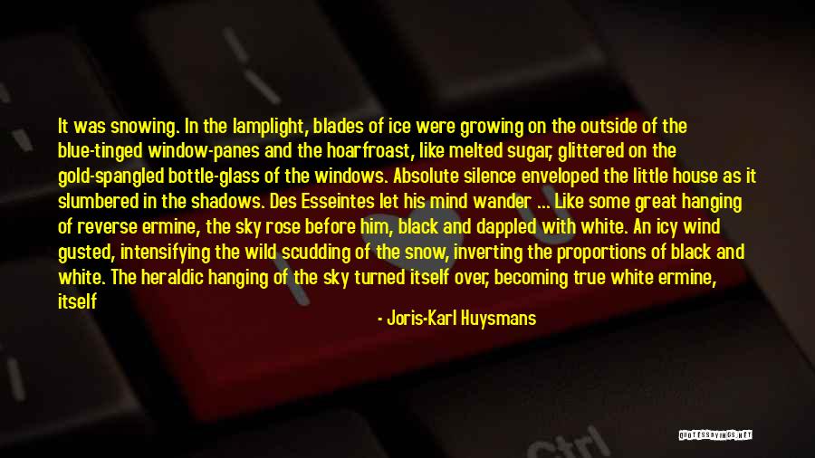 Black White And Gold Quotes By Joris-Karl Huysmans Black White And Gold Quotes By Joris-Karl Huysmans