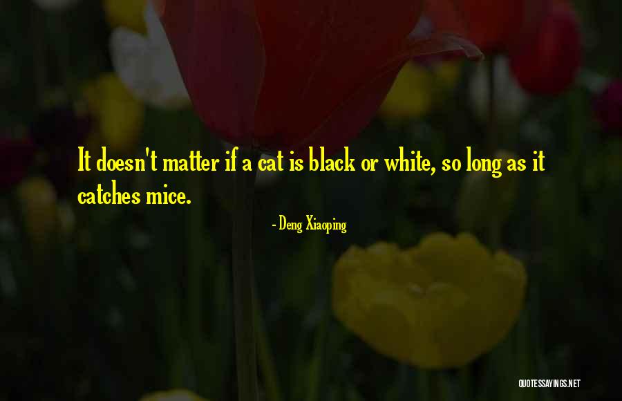 Black White Quotes By Deng Xiaoping