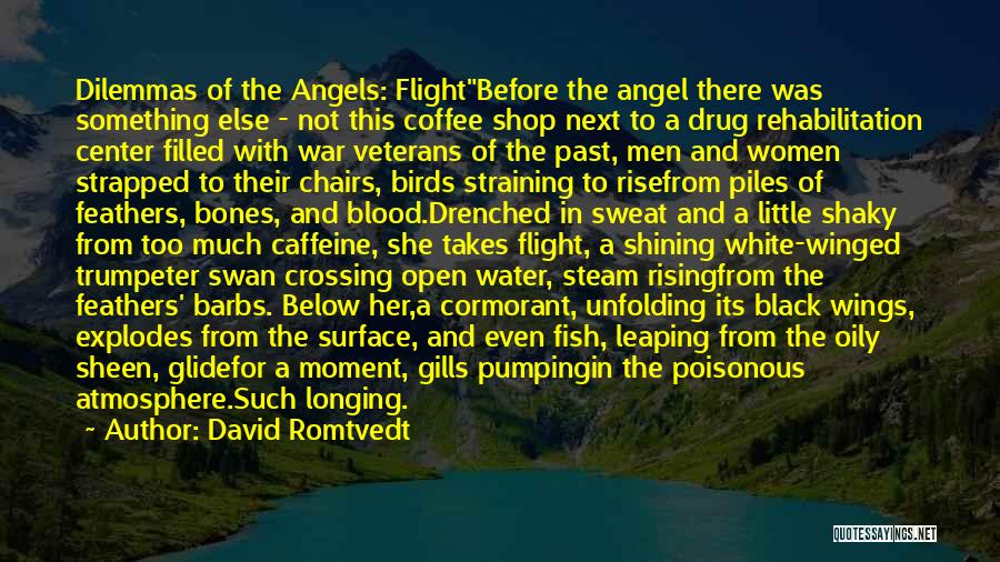 Black Wings Has My Angel Quotes By David Romtvedt