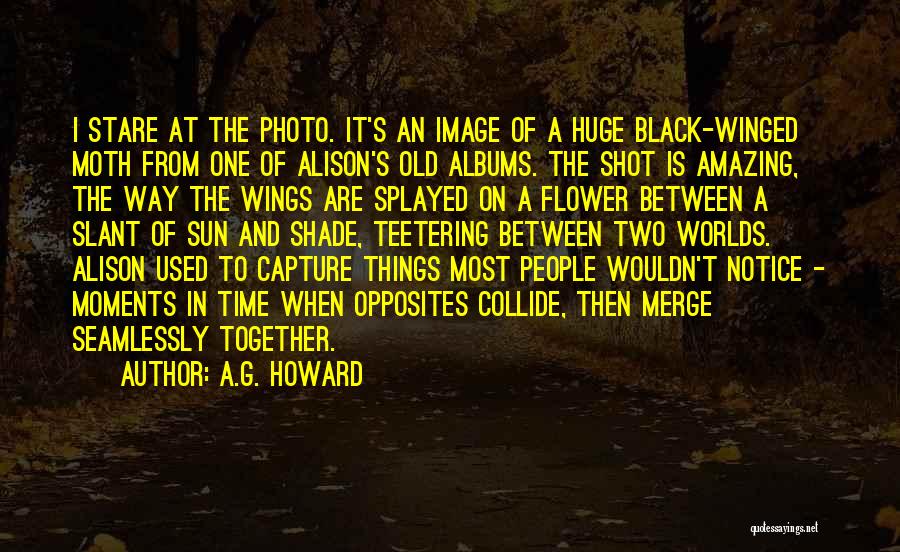 Black Wings Quotes By A.G. Howard