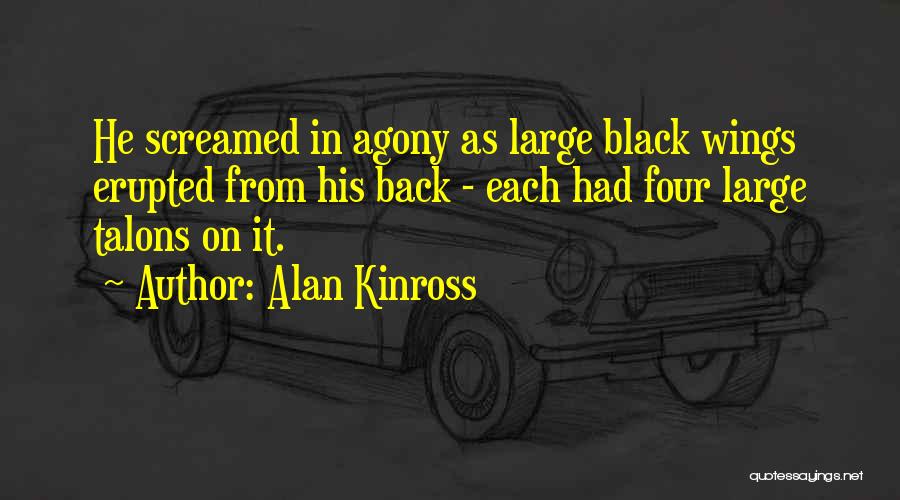 Black Wings Quotes By Alan Kinross